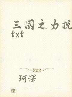 三国之力挽狂澜txt