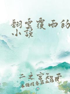 翻云覆雨的秘密小说