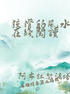 狡猾的风水相师在线阅读