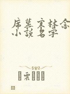 席慕寒林念儿的小说名字