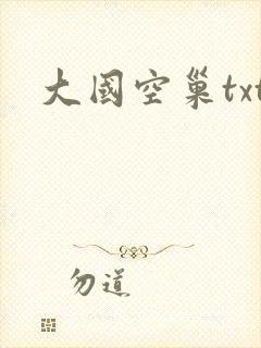 大国空巢txt