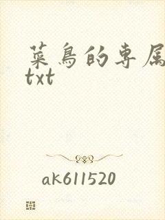 菜鸟的专属大神txt