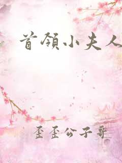 首领小夫人