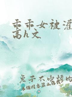 乖乖女被灌满精高h文