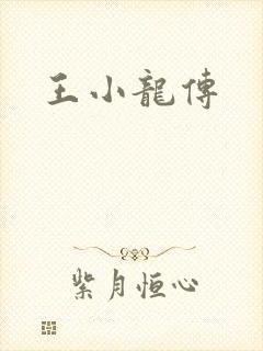 王小龙传