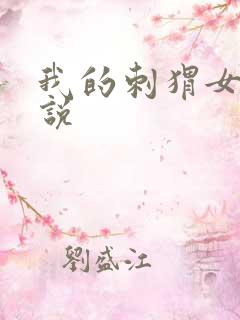 我的刺猬女孩小说