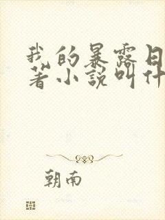 我的暴露日记原著小说叫什么