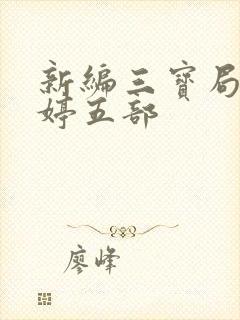 新编三宝局长许婷五部