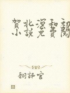 贺北溟和初夏的小说免费阅读无弹窗