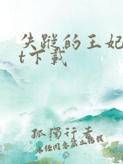 失踪的王妃txt下载