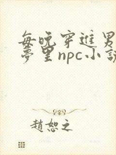 每晚穿进男神的梦里npc小说