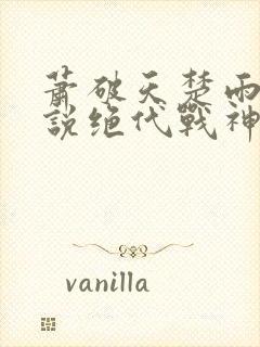 萧破天楚雨馨小说绝代战神