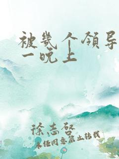 被几个领导玩弄一晚上