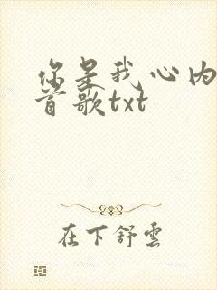你是我心内的一首歌txt