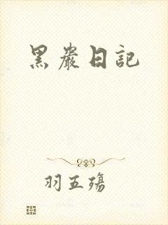 黑岩日记