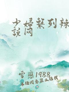 少妇系列辣文小说网