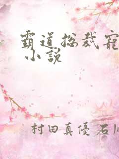 霸道总裁宠上天 小说