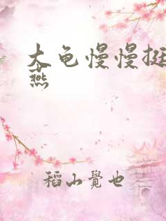 大龟慢慢挺进张燕