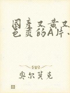 国产又黄又大又色爽的A片小说