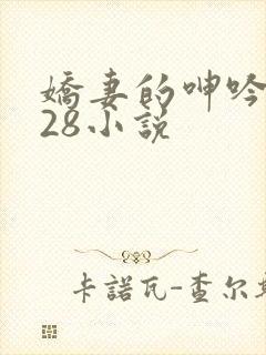 娇妻的呻吟1—28小说