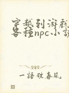 穿越到游戏里和各种npc小说