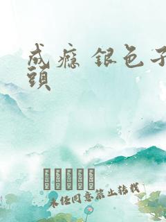 成瘾 银色子弹头