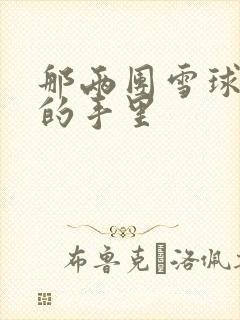 那两团雪球在他的手里