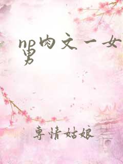 np肉文一女多男