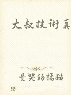 大叔技术真好
