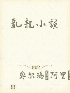 乱龙小说