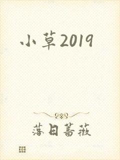 小草2019