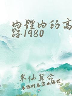 肉体内的高速公路1980