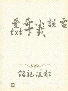 爱奇小说电子书txt下载