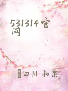 531314官网