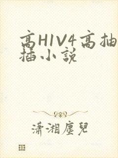 高H1V4高抽插小说