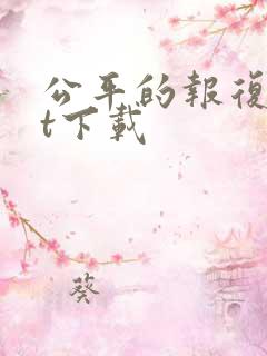 公平的报复txt下载