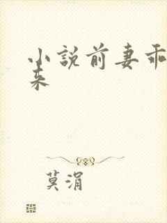 小说前妻乖乖回来