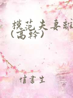 模范夫妻离婚了(高干)