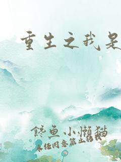 重生之我是死神