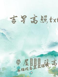 吉星高照txt