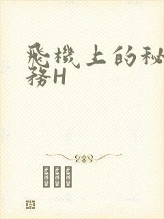 飞机上的秘密服务H