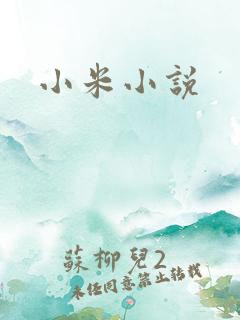 小米小说