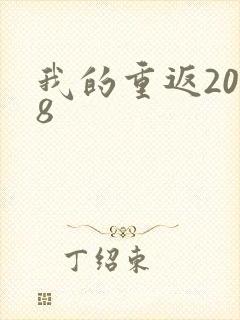 我的重返2008