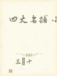 四大名捕 小说
