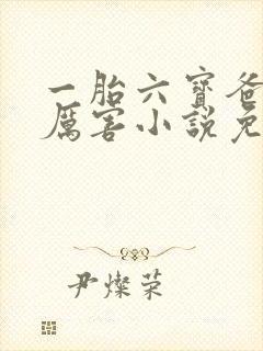 一胎六宝爸比好厉害小说免费阅读