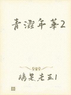 青涩年华2