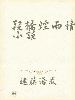 段桥烟雨情难离小说