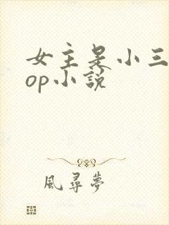 女主是小三的pop小说