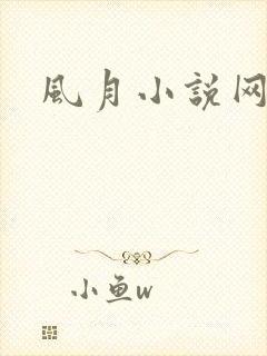 风月小说网