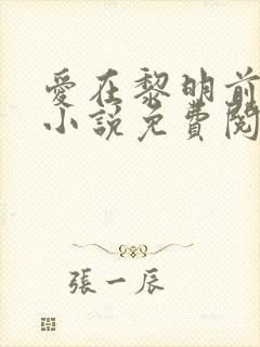 爱在黎明前降落小说免费阅读